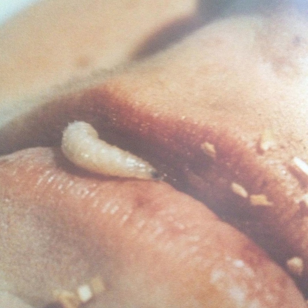 xenophilic cover